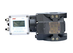 艾美特羅茨流量計 高精度氣體儀表的技術(shù)與應(yīng)用